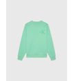 Sudadera-Calvin-Klein-Jeans-Niño-Verde