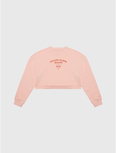 Calvin klein crop sweatshirt sale