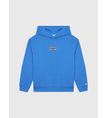 Sudadera-Calvin-Klein-con-Estampado-Niño-Azul