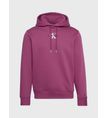 Sudadera-Calvin-Klein-Monograma-Hombre-Morado