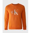 Sudadera-Calvin-Klein-Logo-Hombre-Naranja