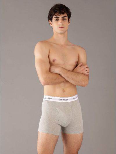 Briefs-Calvin-Klein-Icon-Paquete-de-3-Hombre-Multicolor-NB4380-310