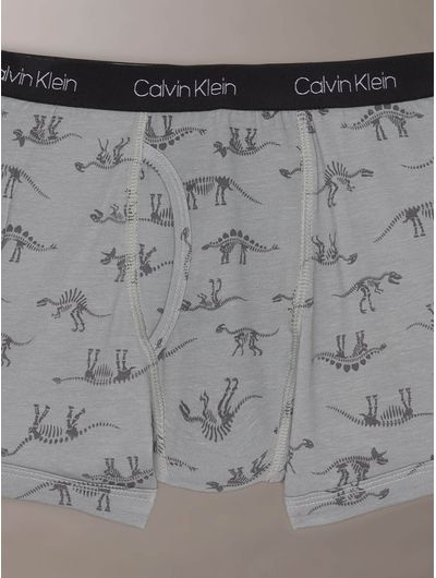 briefs-calvin-klein-cotton-stretch-paquete-de-5-nino-multicolor-rz5136-az5