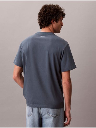 playera-grafica-vintage-calvin-klein-hombre-gris-4rg815g-ceg